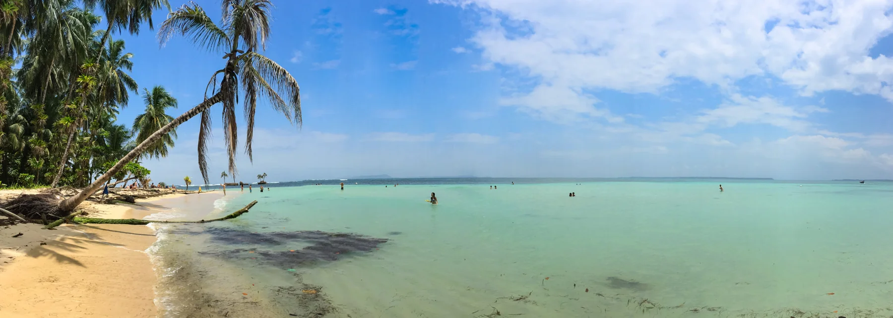 Praia em Bocas del Toro com coqueiros, faixa de areia e banhistas no mar.