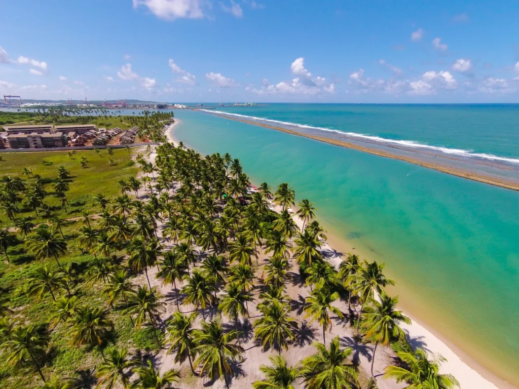 Vista aérea da Praia de Muro Alto, com coqueiros, faixa de areia e água protegida pela barreira de arrecifes.