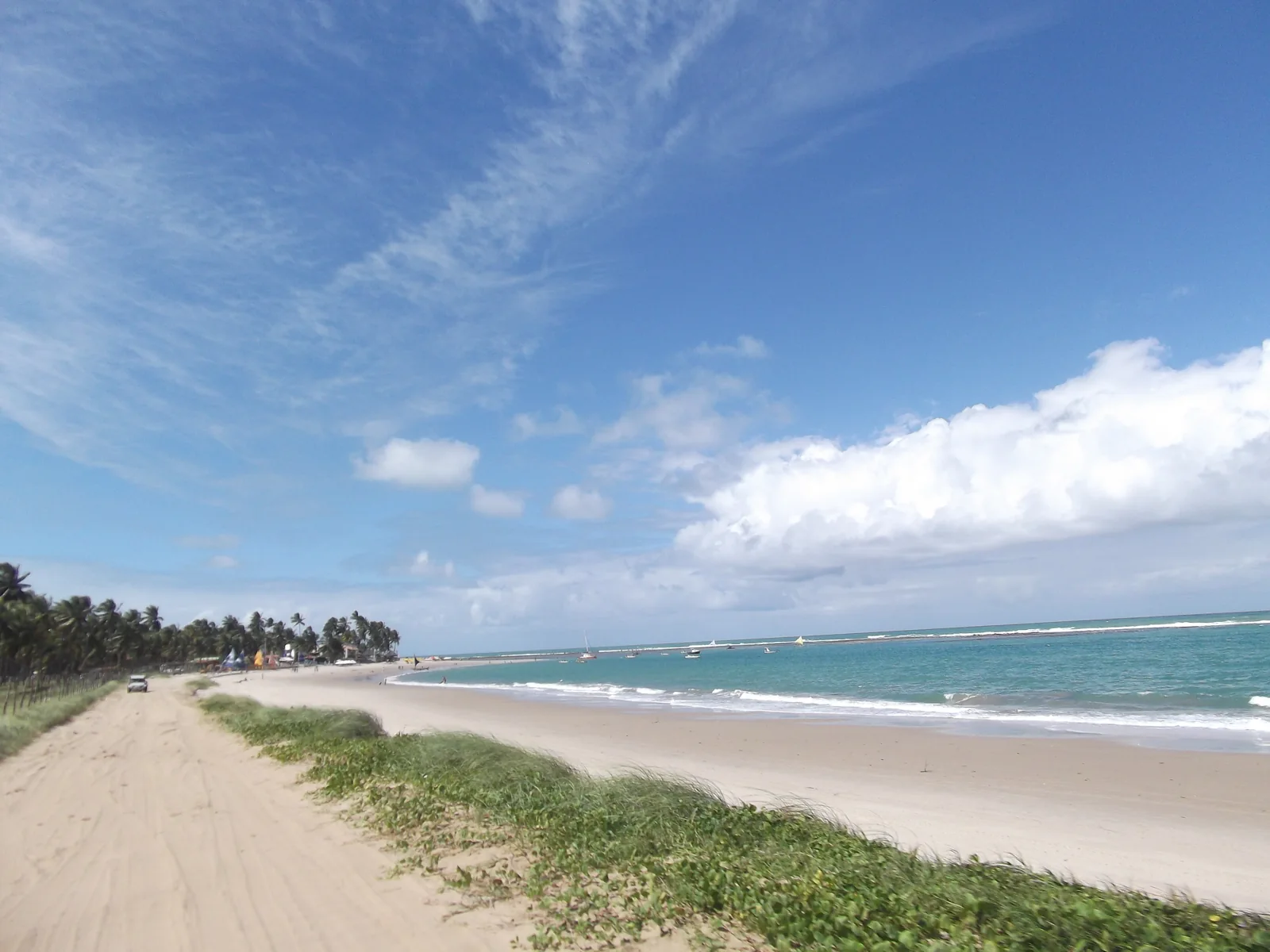Praia em Porto de Galinhas com faixa de areia, vegetação, mar azul e pequenas embarcações ao fundo.