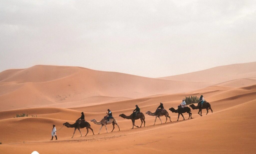 Grupo para o Marrocos com guia desde o Brasil