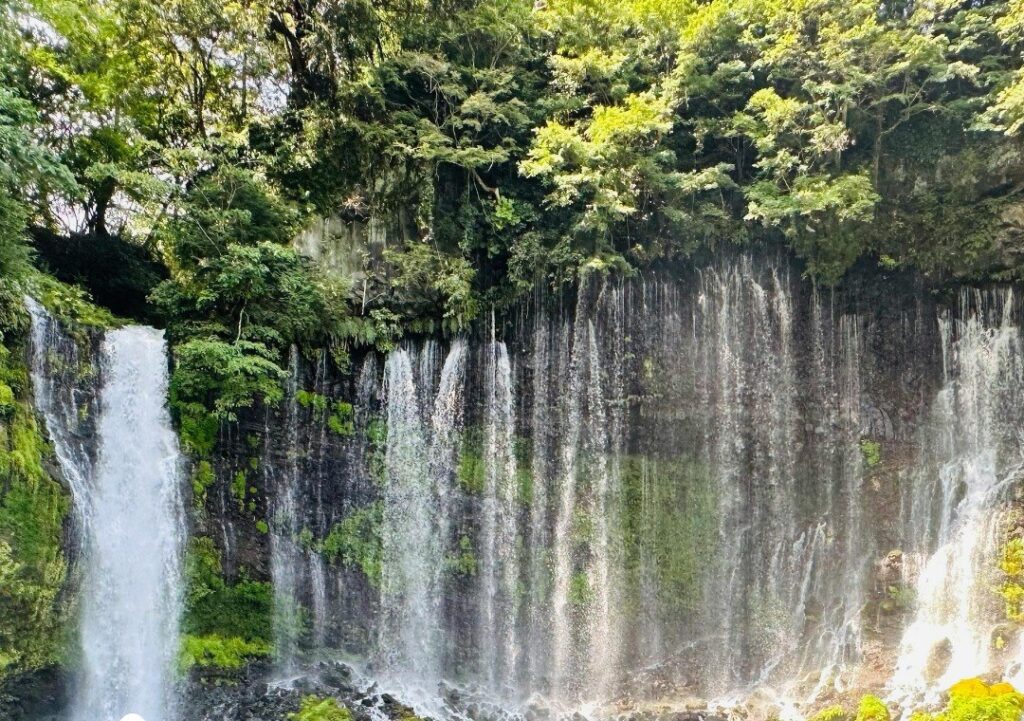 Réveillon em Foz do Iguaçu