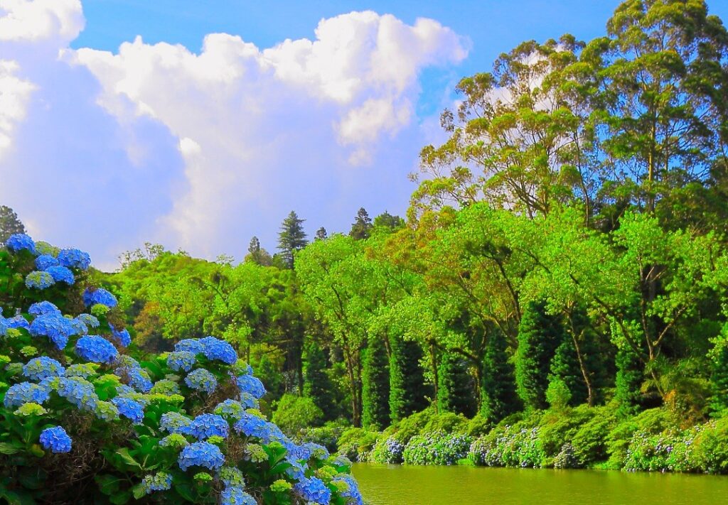 Réveillon em Gramado
