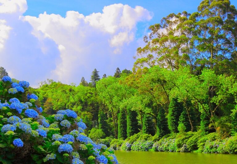 Réveillon em Gramado