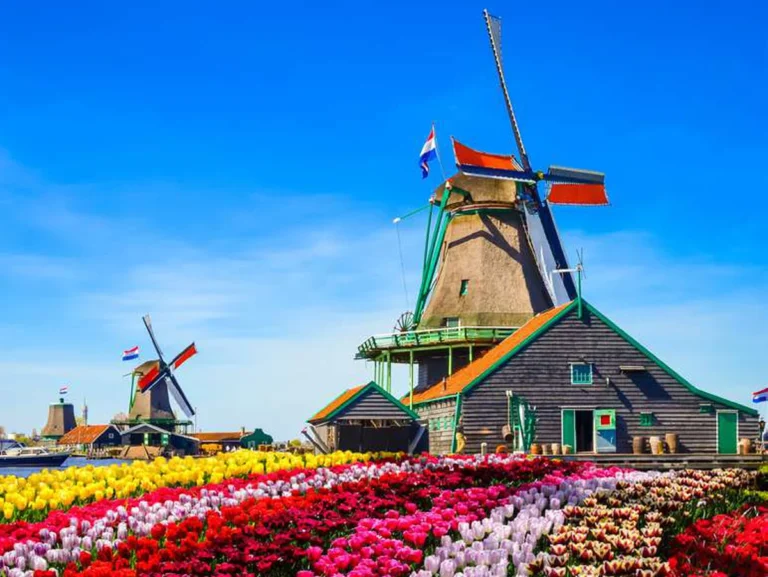 Tulipas em Flor: Países Baixos, Bélgica e Luxemburgo